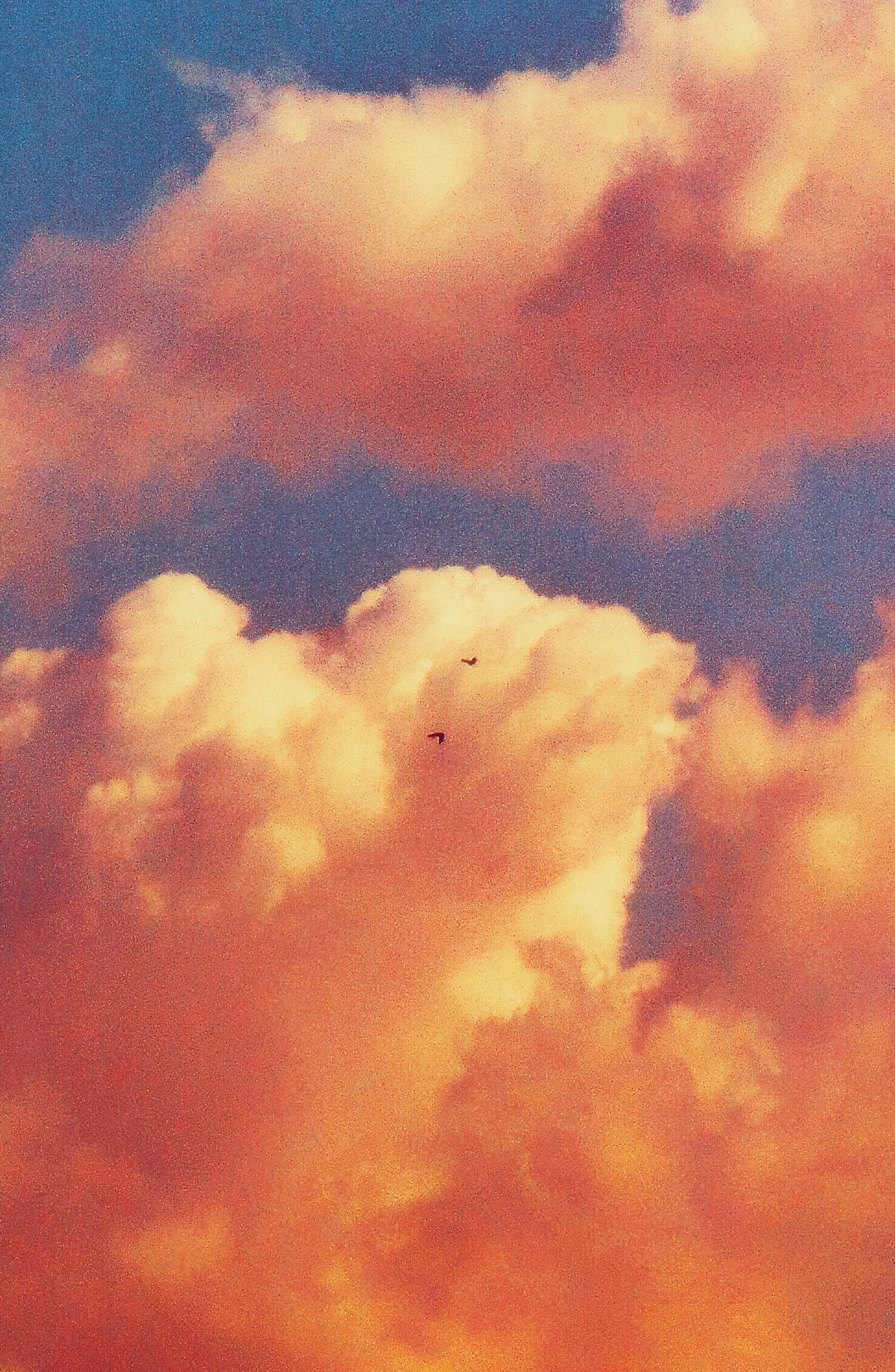 Closeup of clouds during sunset with two birds flying around